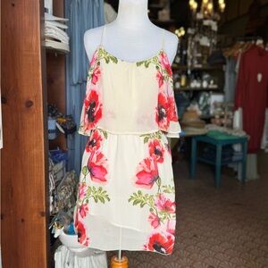 Buffalo David Bitton Cream and Red Floral Mini Dress